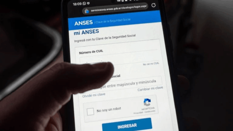 ANSES: cómo tramitar la constancia de CUIL y por qué es importante tenerla