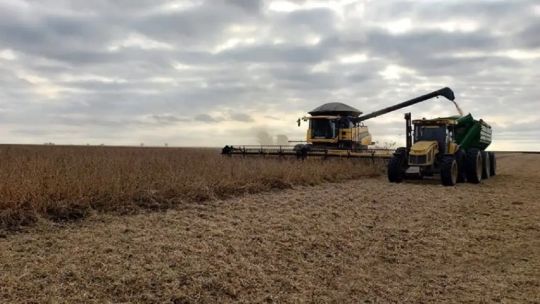 Falta de rentabilidad en el agro: Cada vez somos menos productores los que quedamos en la carrera