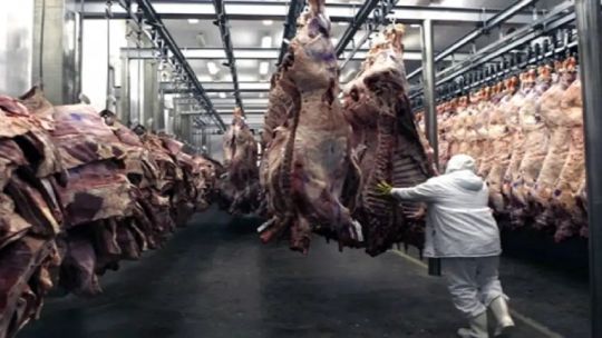 Tierra del Fuego suspendió el ingreso de asado con hueso: Chile ya no nos reconoce como libre de aftosa