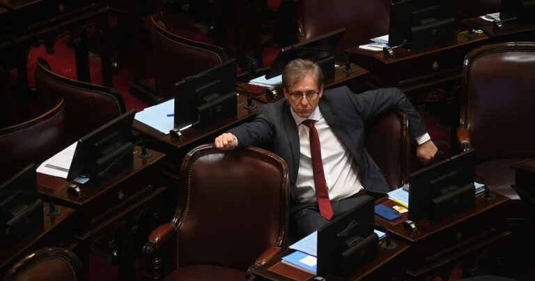 El jefe del bloque radical en el Senado confirmó que tienen los votos para rechazar el veto de Javier Milei a la ley de reparto de ATN